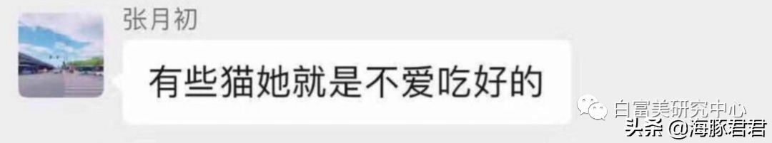 北京小公主靠吸猫血成百万大V,直播整容、大照骗、2年养死3只猫