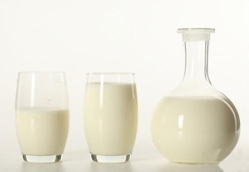 羊奶牛奶马奶骆驼奶哪个治失眠好,羊奶骆驼奶马奶测评