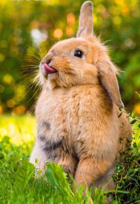 人为什么心累？因为大脑每天消耗人总能量20%，5招缓解心累