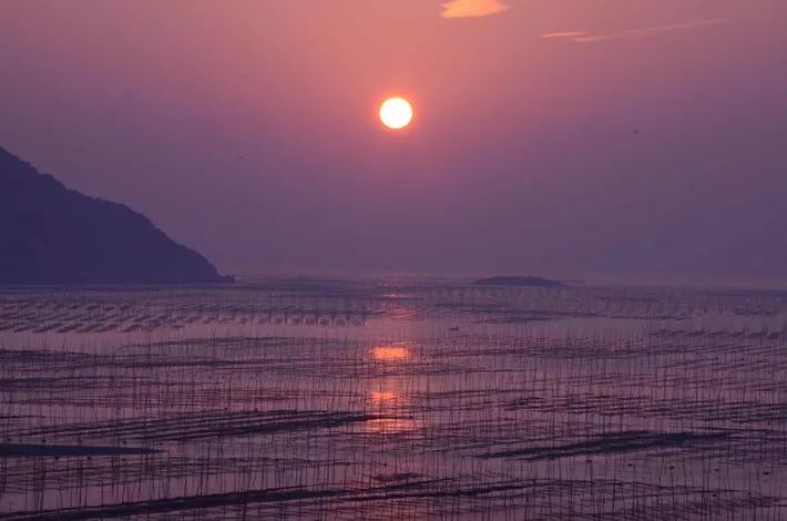 霞是光，浦是海：光与海的对话，吟唱出最美的滩涂