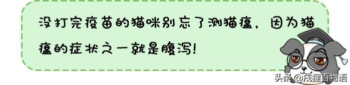 猫咪大便不正常怎么回事,猫咪屁屁老是有稀便便是怎么回事