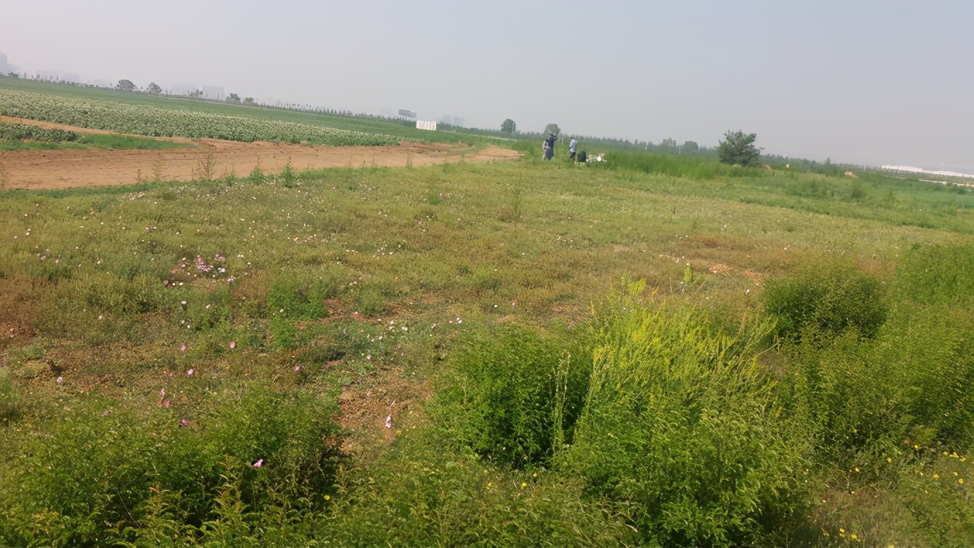 养甲鱼姚志刚,致富经姚志刚甲鱼