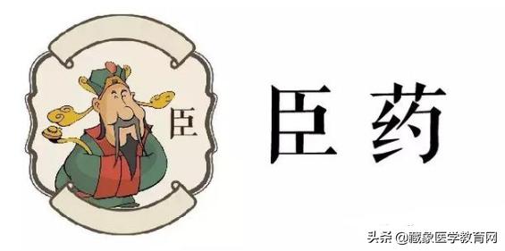中医药的君臣佐使怎么讲解,中医药方君臣佐使的使一般是什么