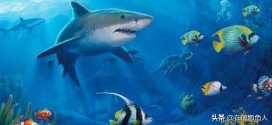 厦门旅游必去十大景点视频,厦门旅游必去十大景点云水谣