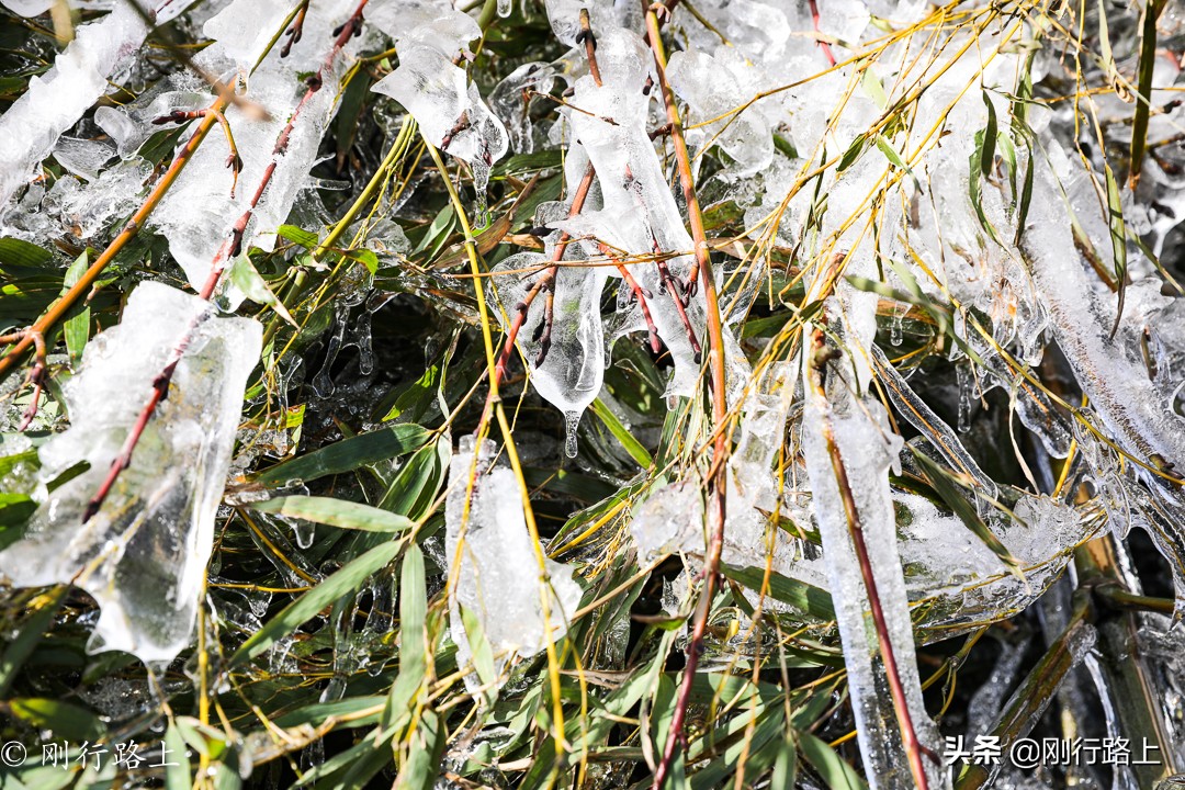 华东第一竹海之称的地方，冬季里冰花最吸引人