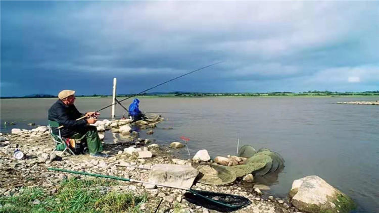 怎样选择鱼竿比较好,怎样选择鱼竿最合适