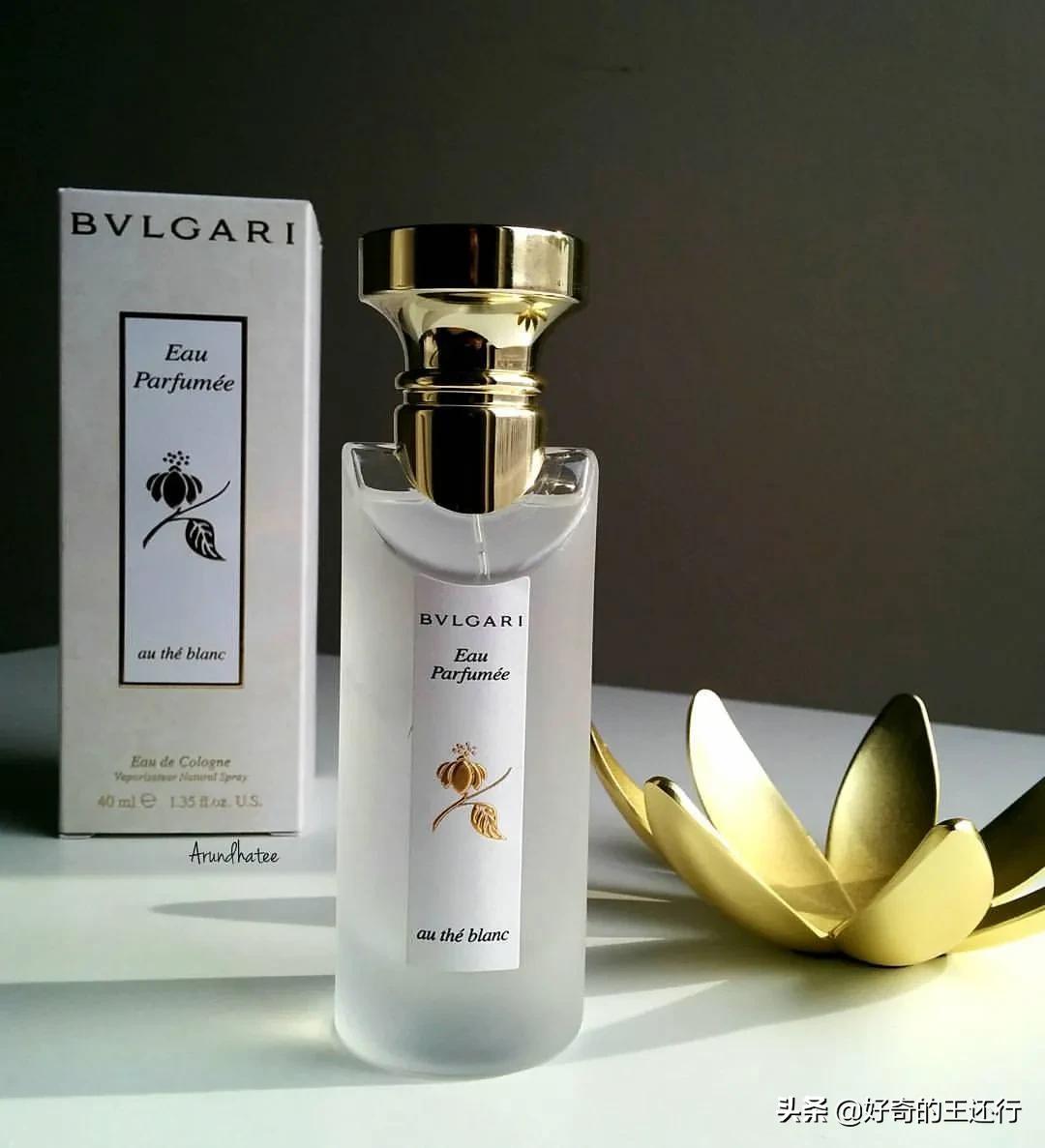 宝格丽茗珍白茶故事,宝格丽茗珍白茶平替