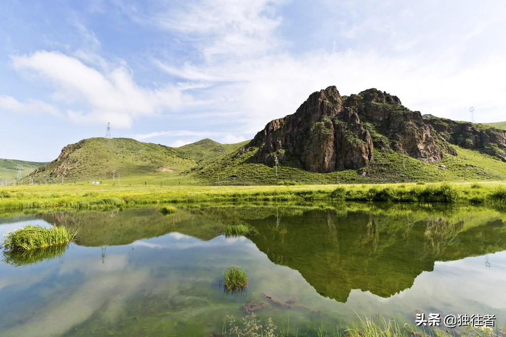 丰宁野花,丰宁坝上草原花海