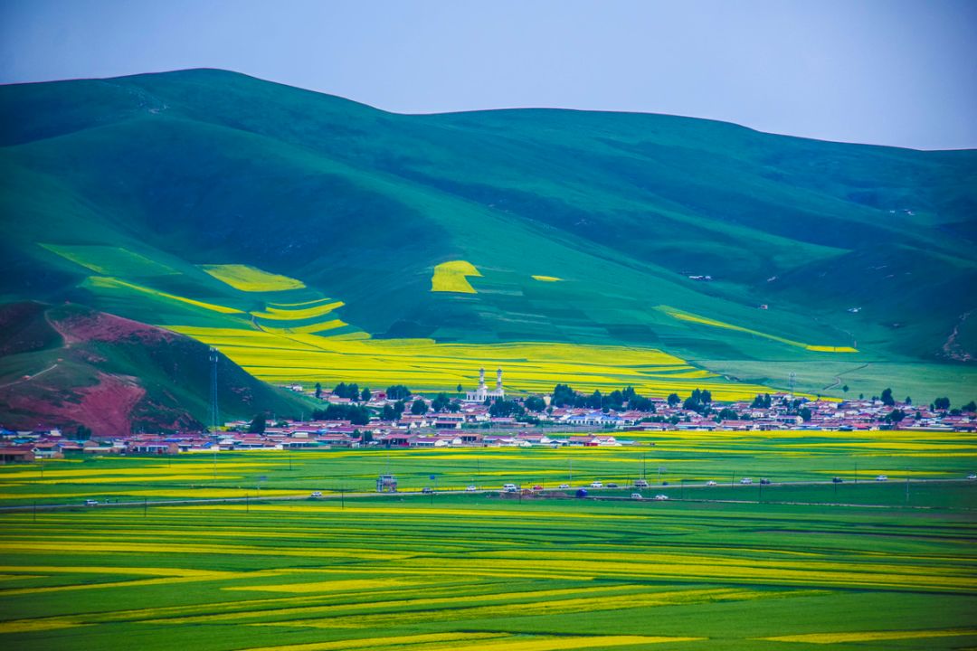 戴口罩的冬天太漫长，差点忘了中国的春天有多美