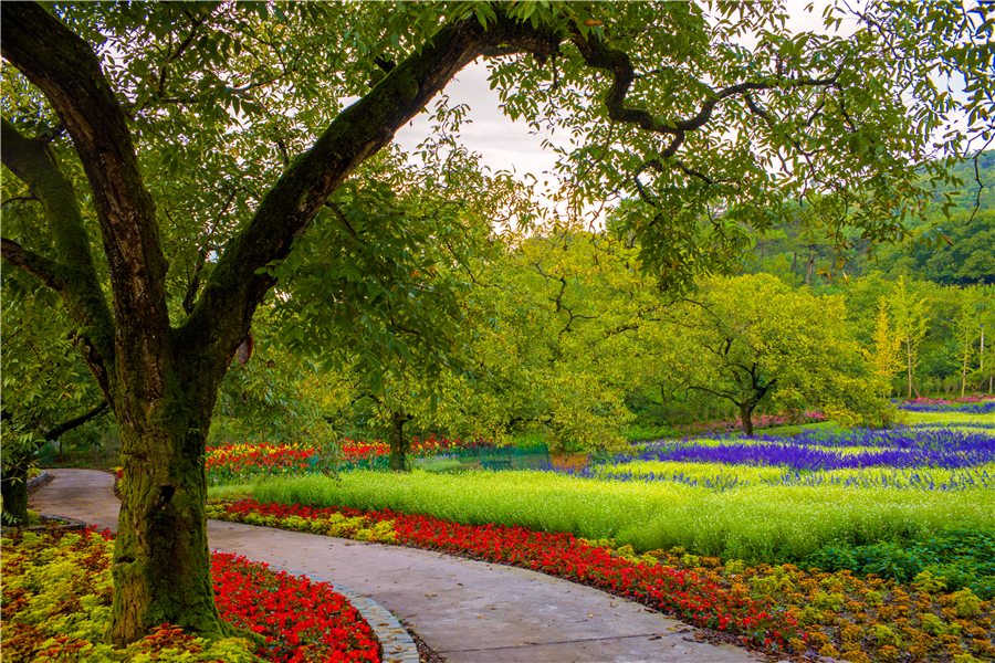 大理最美半山酒店,在大理遇见最美半山酒店