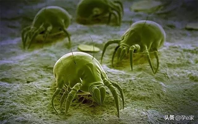 身上出现许多小黑痣,身上出现凸起黑痣一定要重视