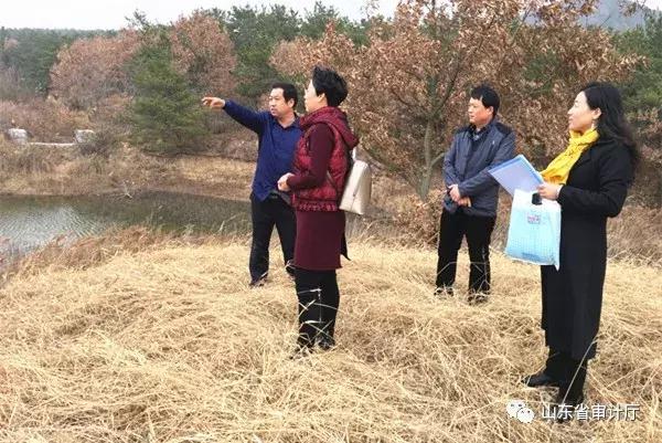 这一年收获颇丰,这一年收获了太多的温暖与感动