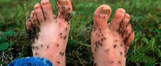 有多少人在怀念小时候的味道,有多少人还记得小时候的味道