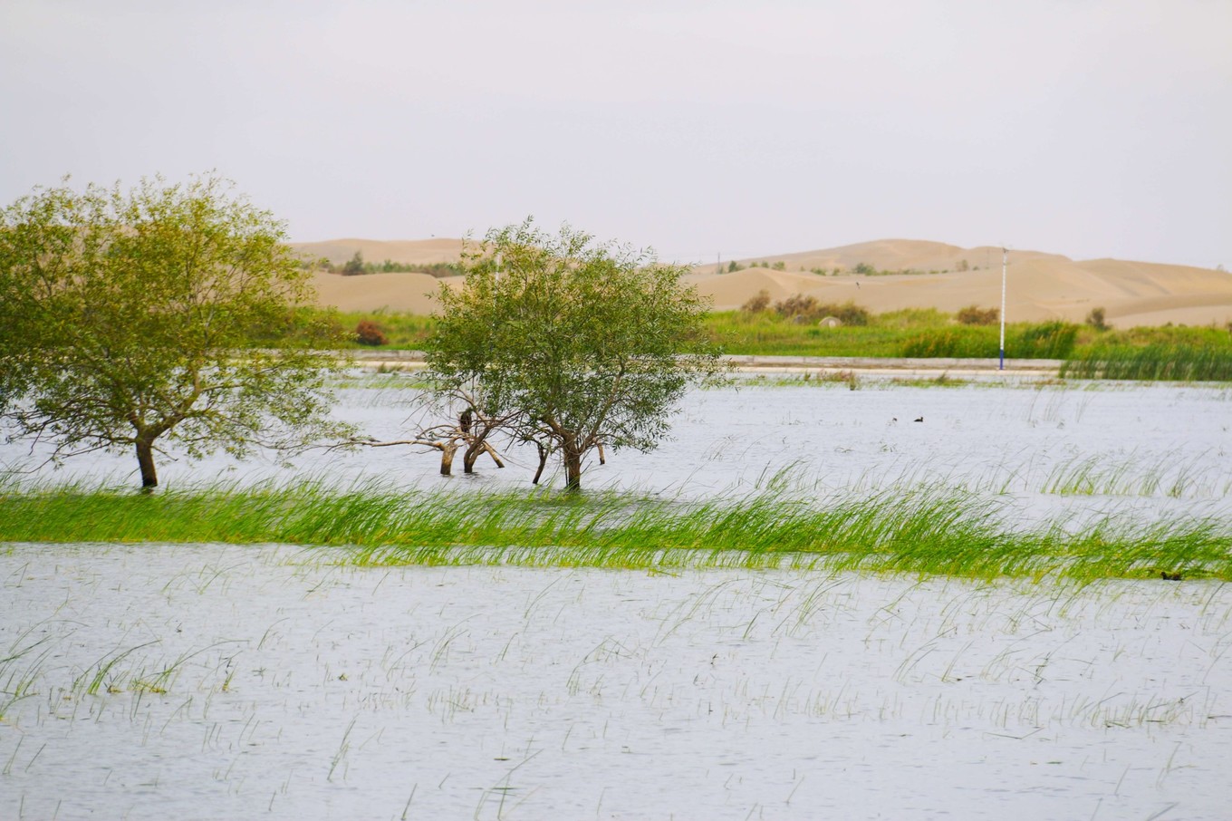 新疆民丰县尼雅遗址精绝古国,精绝古国民丰