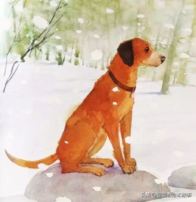 绘本故事有声小熊进城,绘本故事大城市里的小象