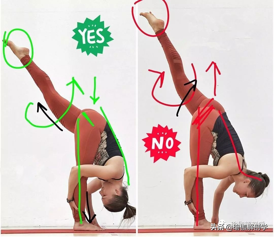 瑜伽20个仰卧串联体式大全,30个瑜伽体式正误对比图