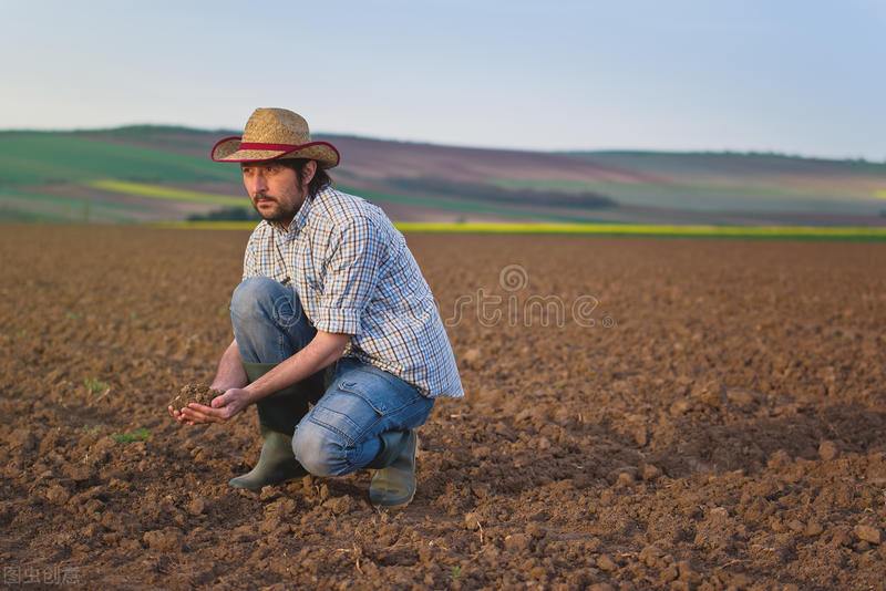 测试土壤酸碱度的方法化学,学会判断土壤酸碱度的七种方法