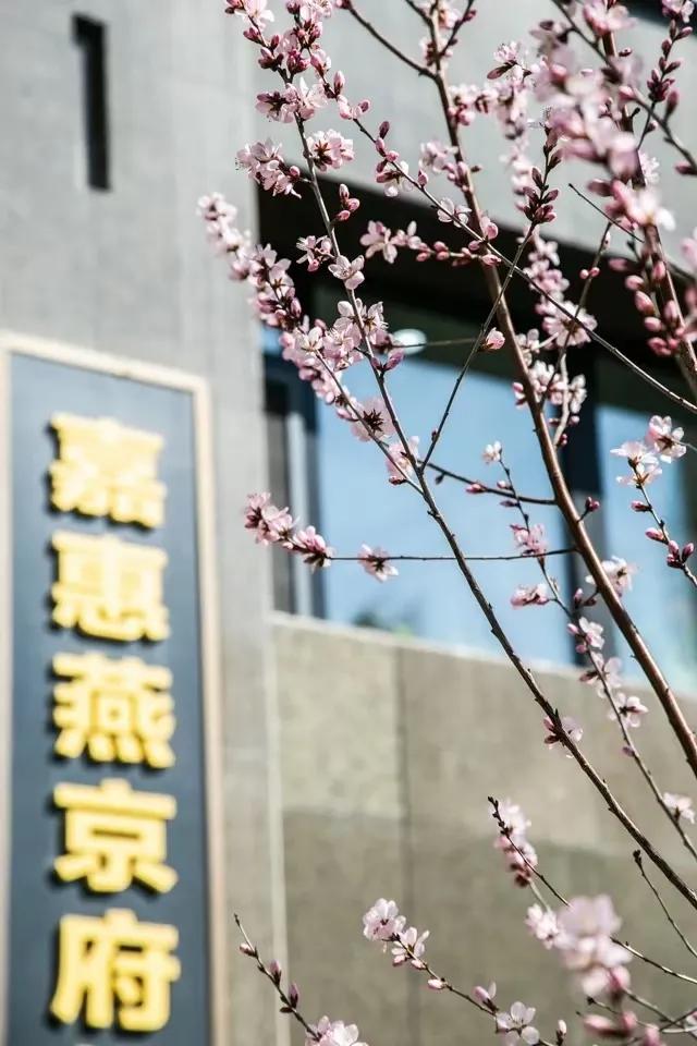 长春市嘉惠燕京十里楼盘,长春一手楼盘样板间