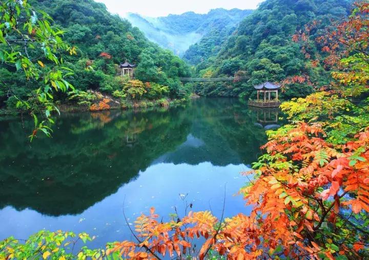 冬天真的来了！自带温泉的高颜值酒店，不用去日本，浙江就有！