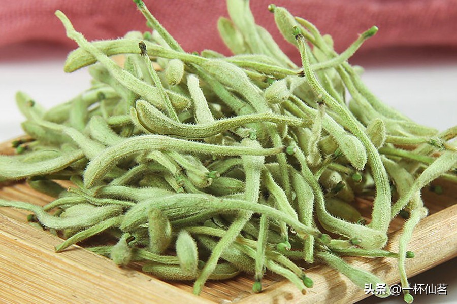 金银花种植旺宅吗,金银花种植的方法和技术