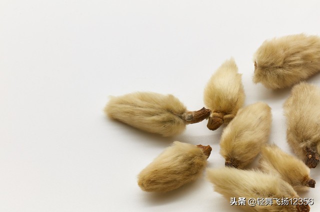 辛夷中药,学中药