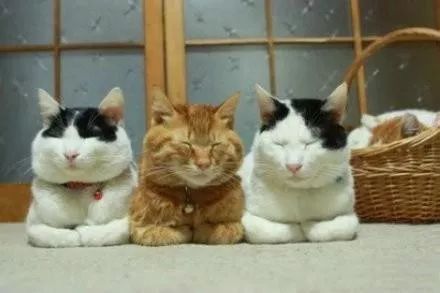 别花冤枉钱！冬天娃的帽子、围巾、袜子要这么选