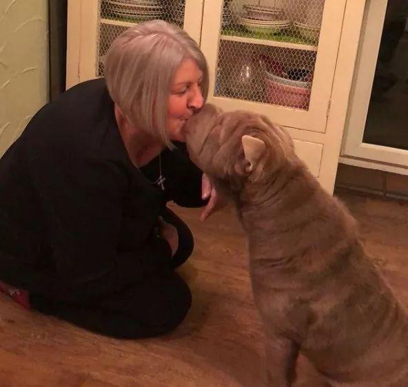 当这只整天都“睡不醒”的沙皮，遇上一位心灵手巧的铲屎官