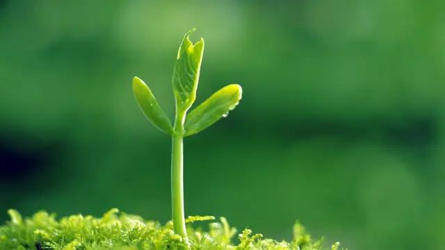 《中华诗坛》古诗词赋（12）