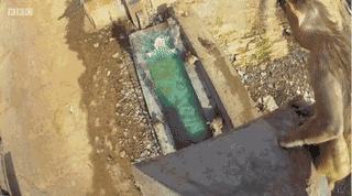 豆瓣9.8分悬疑大片,窥探电视剧豆瓣评分