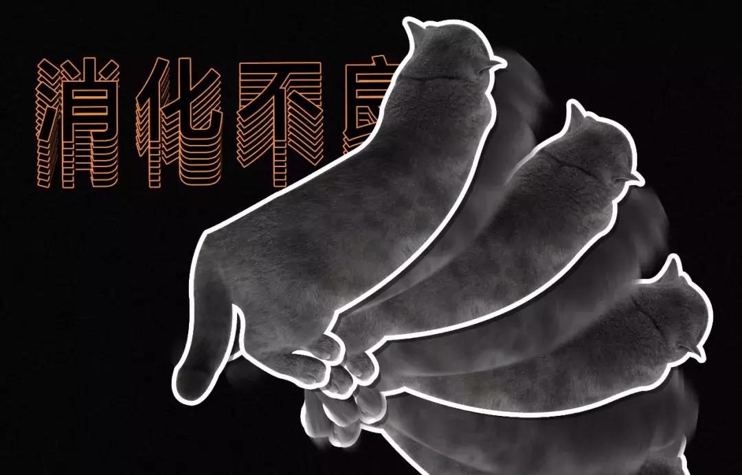 猫屎太臭事件,猫屎的来历