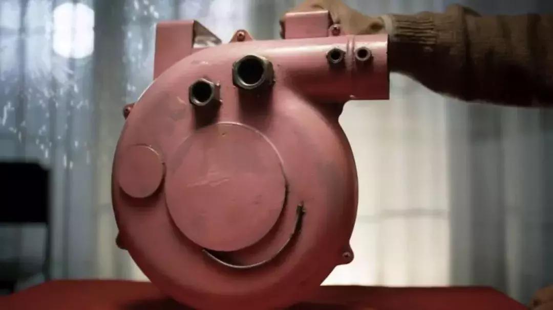 猪为什么会被列为十二生肖,为什么猪是十二生肖的最后一个