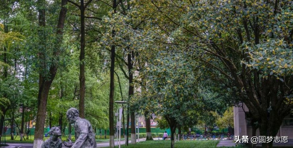 电子科大是211还是985排名多少,电子科大在理科全国排名