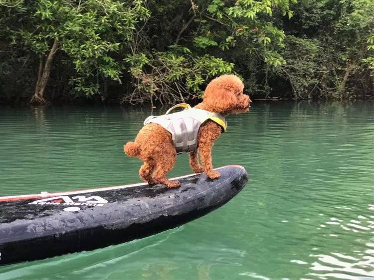 南昆山南国避暑天堂图片,藏在南昆山里的避暑胜地