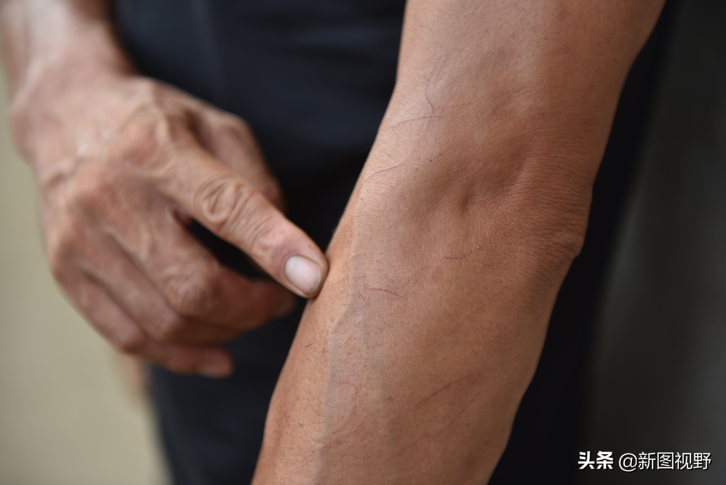 农村大哥吃火龙果,农村大哥种菜一年12万