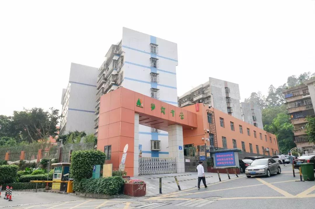 笋岗，不说再见！