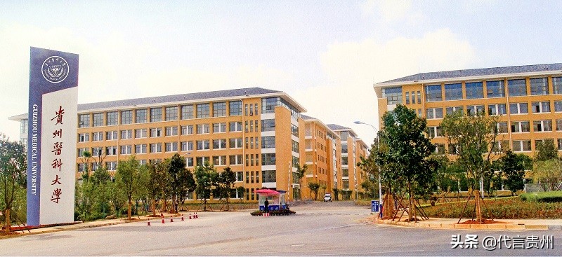 我为贵州助力代言,我为贵州代言全民任务