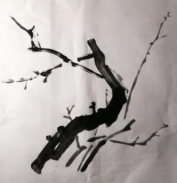 大写意梅韵国画,大写意国画入门教程