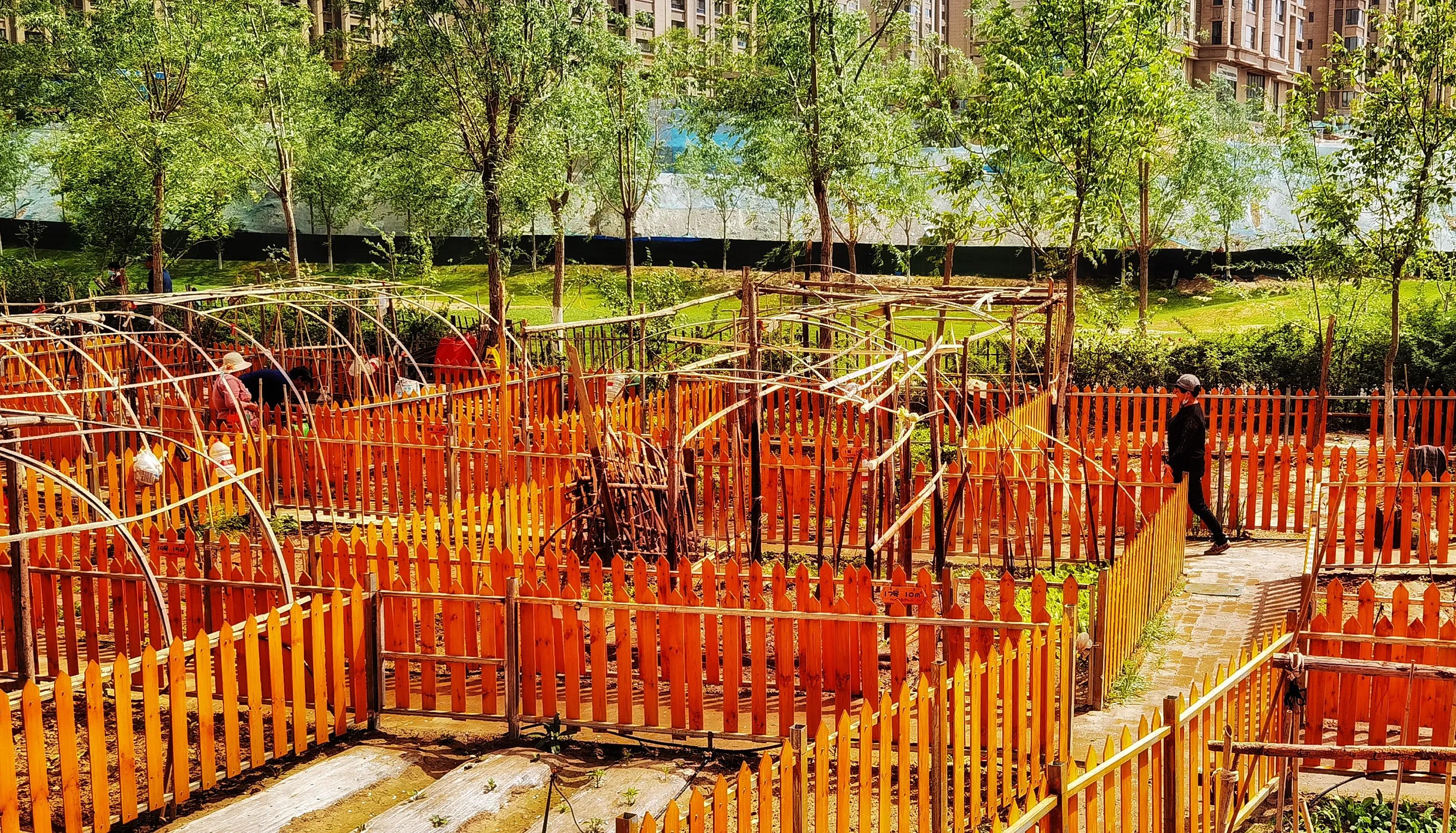 兰州碧桂园凤苑农家乐,兰州凤园农场