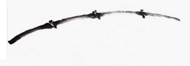 画竹子的简单画法水墨初学,竹子没骨画教程