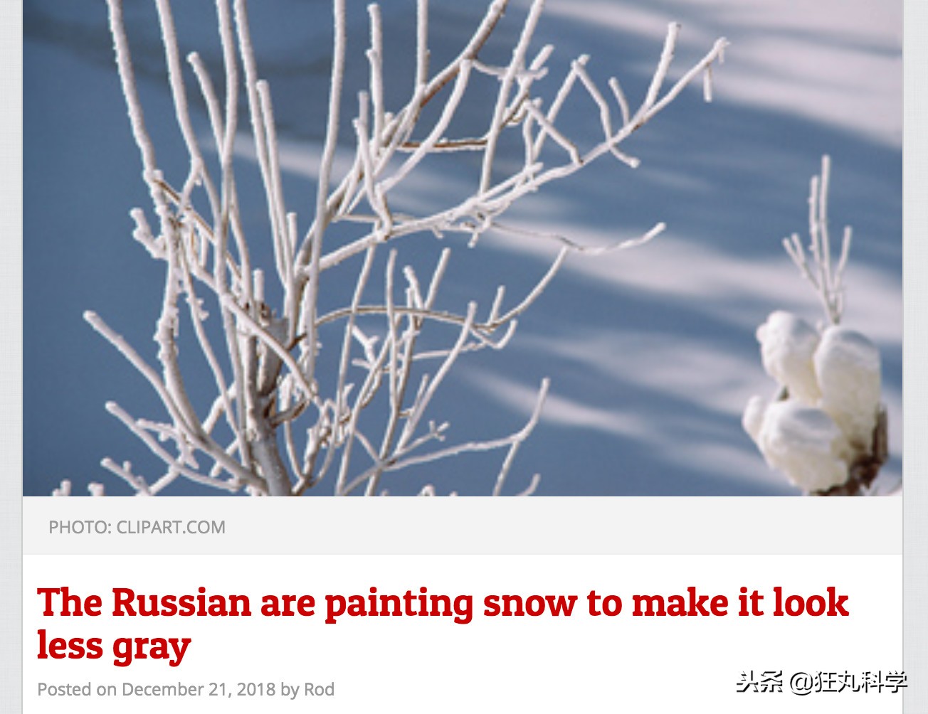 年度沙雕新闻合集,沙雕新闻播报合集