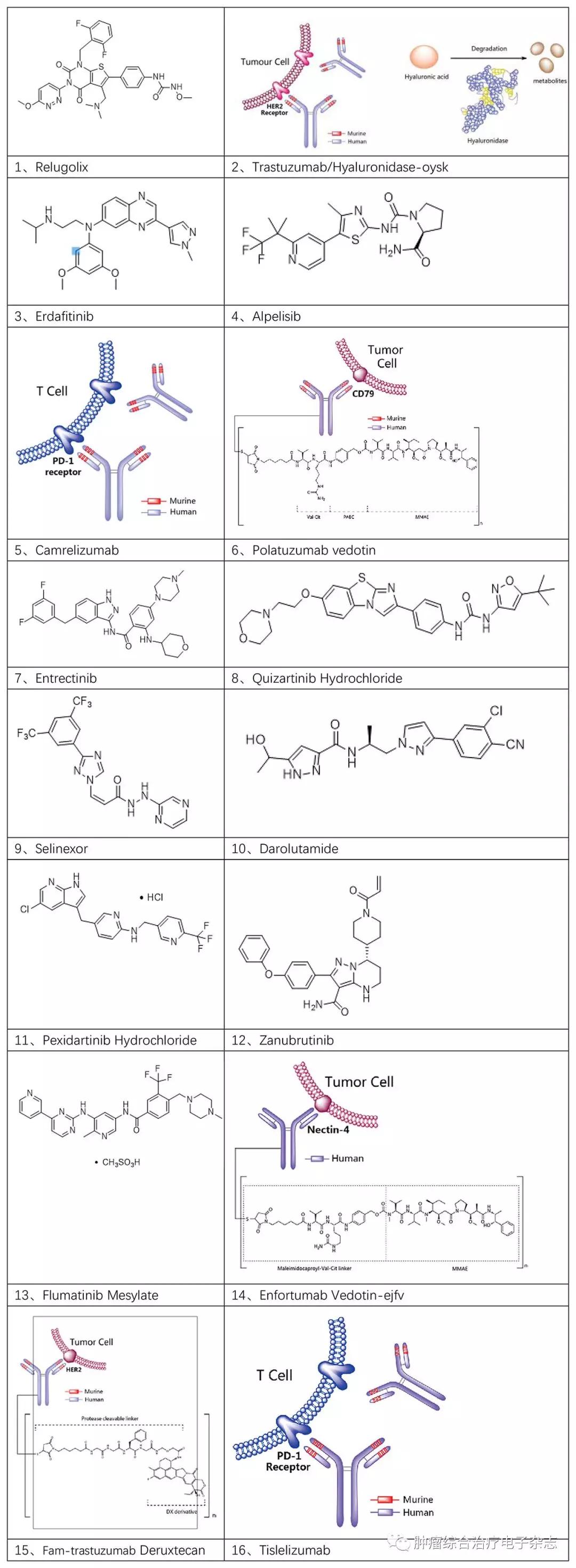 最新肿瘤新药名单,全球最新治疗癌症的进展