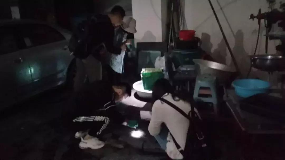 温州蚊子怎么这么多,蚊子警报