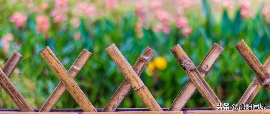 将闲暇变为穿越栅栏的曙光，心里又充满了期待与渴望