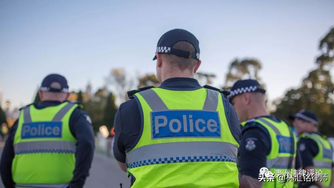 虐待国家保护动物在哪举报,反动物虐待保护法在哪儿投票