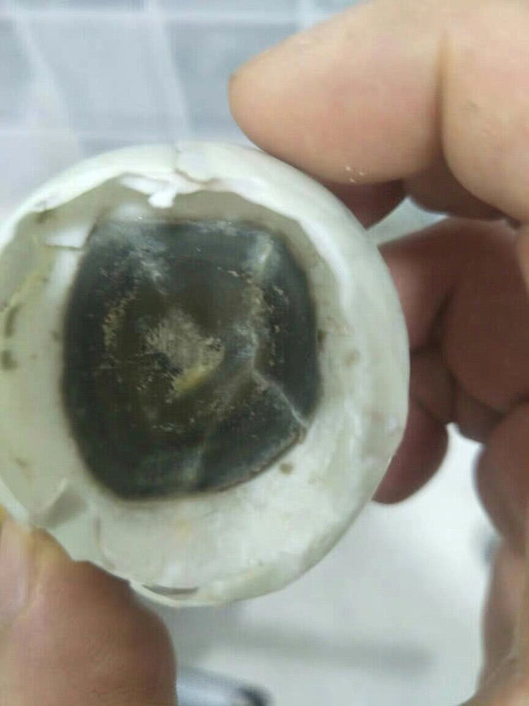 腌出来的臭鸡蛋苦能吃吗,腌臭的鸡蛋吃了好吗