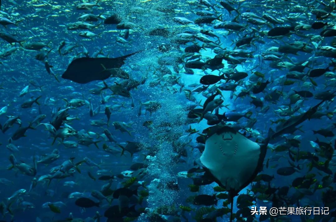 第一次到三亚真是名不虚传呀,第一次到海南三亚怎么样