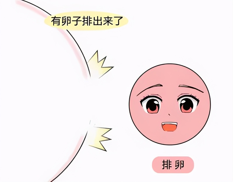 多囊样改变什么意思,多囊卵巢能自然怀孕吗