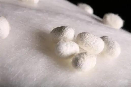 常见天然纺织纤维的性能特点,常用纺织纤维的结构与性能