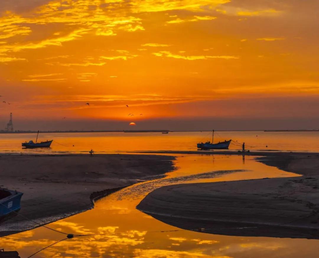 「第1期」2020年大美社群优秀作品回顾