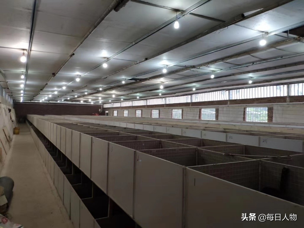 被判“死缓”的特种养殖:陷入困局的致富产业和千万从业者